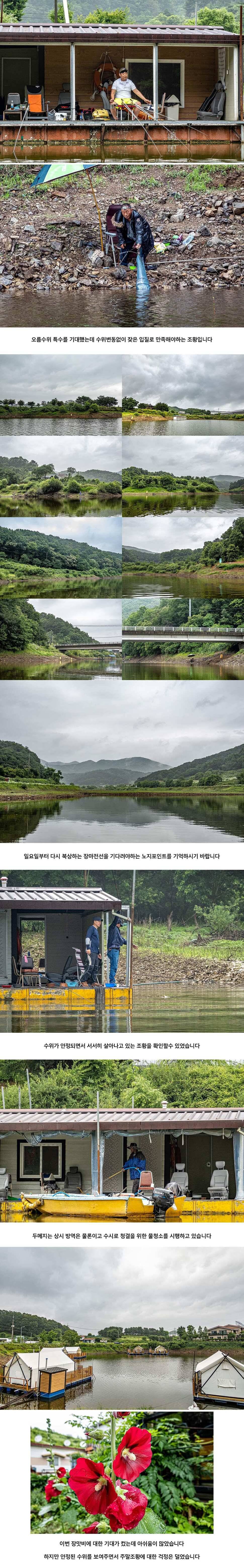 안성 두메낚시터 6월 25일 조황정보 (유료터정보 - 유료터점주조황)