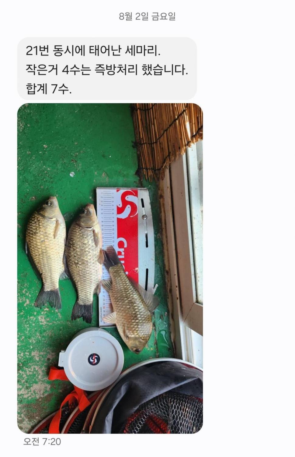 2024년 8월 둘째주 조황정보 용담낚시터사암지4짜 3마리 (유료터정보 - 유료터점주조황)