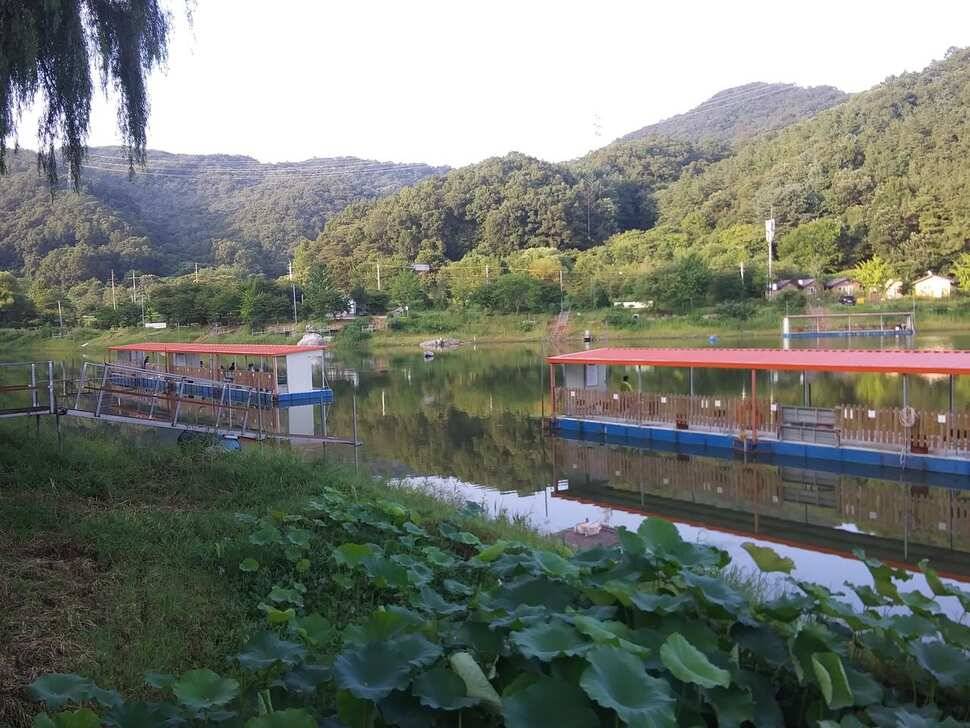 힐링 양평 수곡낚시터 목금요일 편차가 많아 고른 조황이 나오지 못했네요 오늘 붕어방류 완료 (유료터정보 - 유료터점주조황)