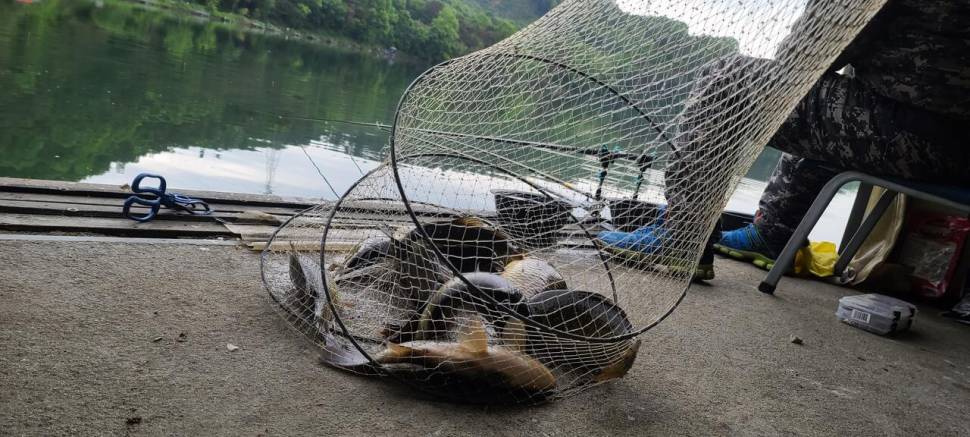 5월 첫주 금토요일 주말 수곡낚시터 조황 및 붕어방류 안내 (유료터정보 - 유료터점주조황)