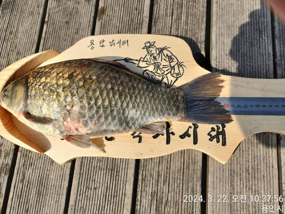2024년 03월 넷째주 조황정보 용담낚시터사암지 이번주 4짜 3마리 (유료터정보 - 유료터점주조황)