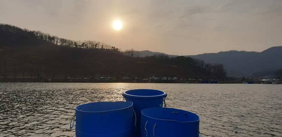 공주 고성낚시터 입니다 (유료터정보 - 유료터점주조황)