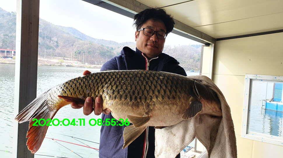 신원낚시터4월17일 토종대물 붕어 방류와 조황 소식입니다 (유료터정보 - 유료터점주조황)