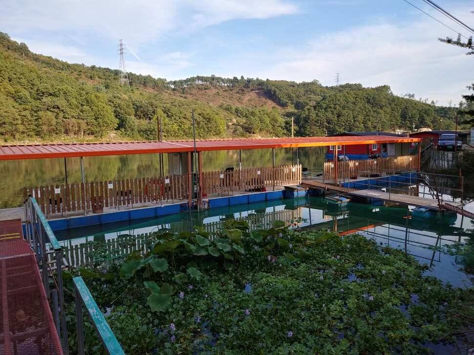 양평 수곡낚시터 오늘 붕어조황 씨알도 마릿수도 더 좋네요 10월10일 금일 붕어 방류 완료했습니다 (유료터정보 - 유료터점주조황)