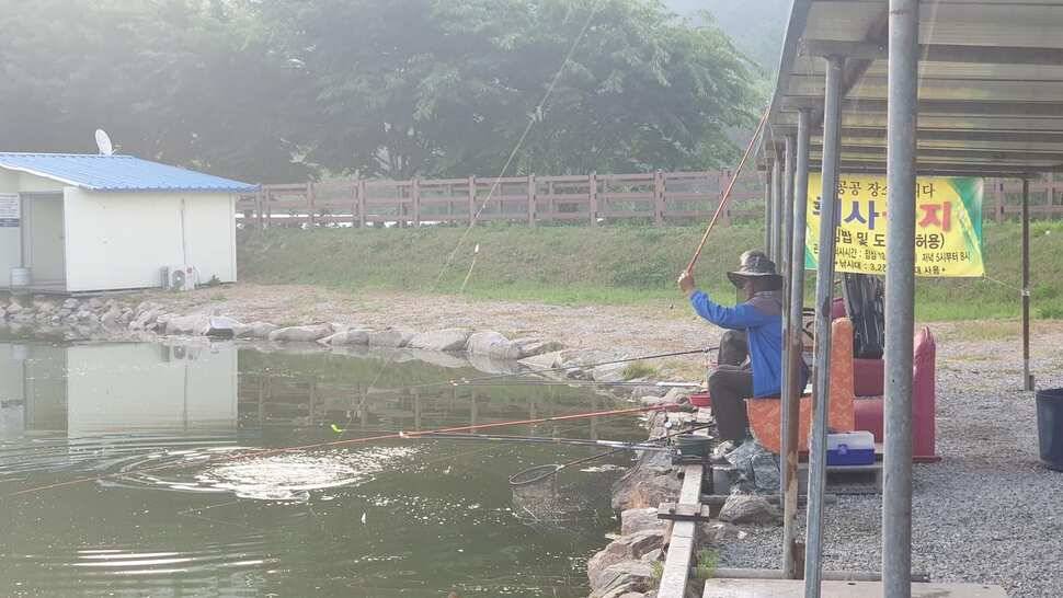 배수 없는 안성 거청낚시터 붕어조황 6월 4 일 (유료터정보 - 유료터점주조황)