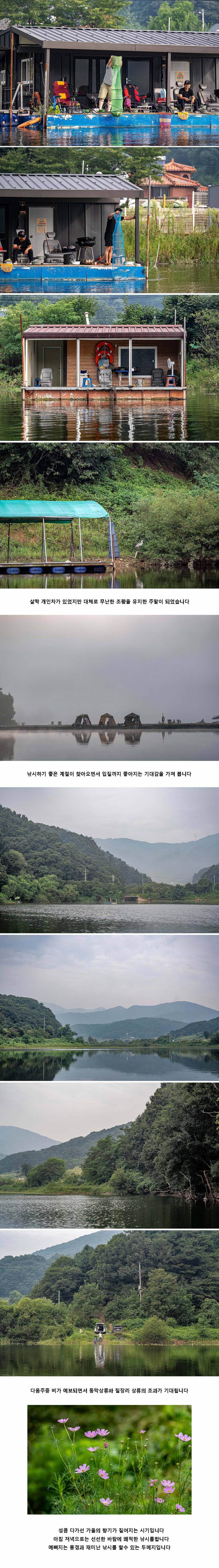 안성 두메낚시터 8월 27일 조황정보 (유료터정보 - 유료터점주조황)