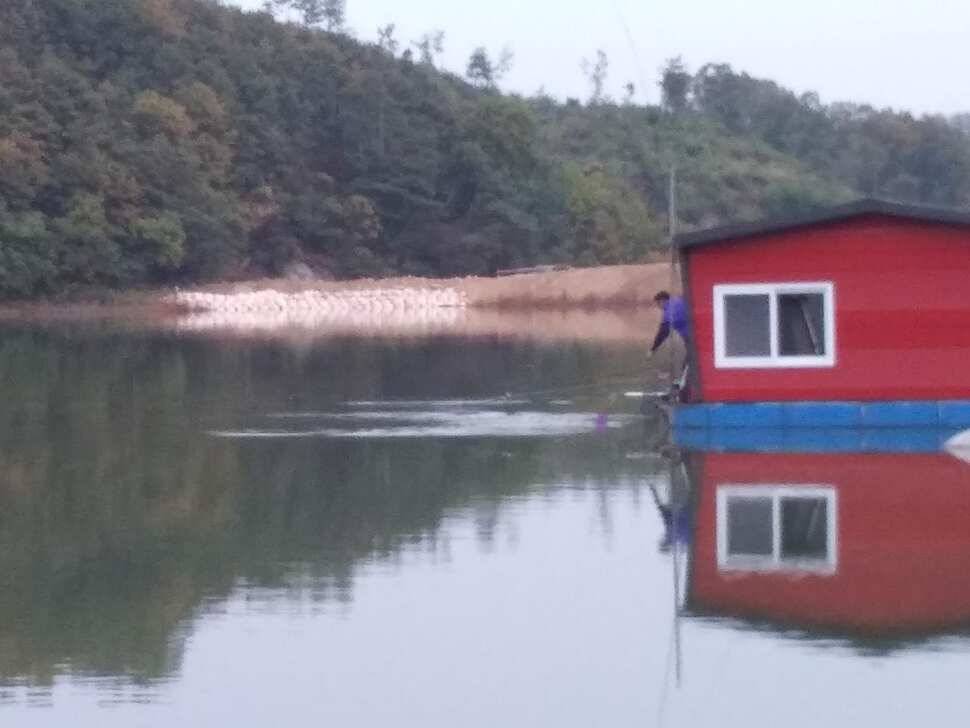 양평 힐링 수곡낚시터 바닥 토종대물 4짜 포함 붕어 마릿수도 꾸준히 늘어납니다 (유료터정보 - 유료터점주조황)