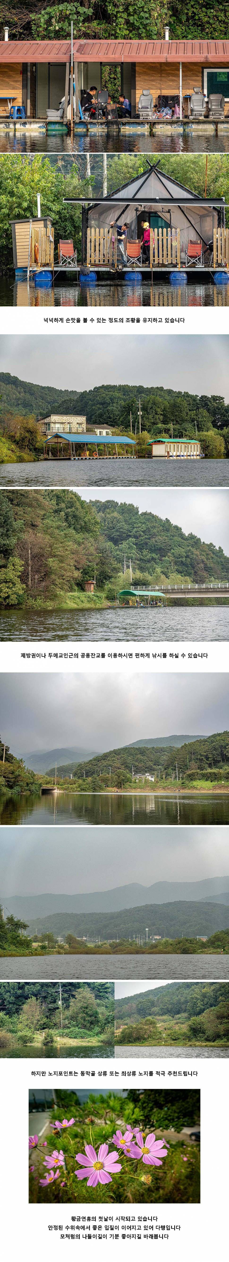 안성 두메낚시터 9월 28일 조황정보 (유료터정보 - 유료터점주조황)