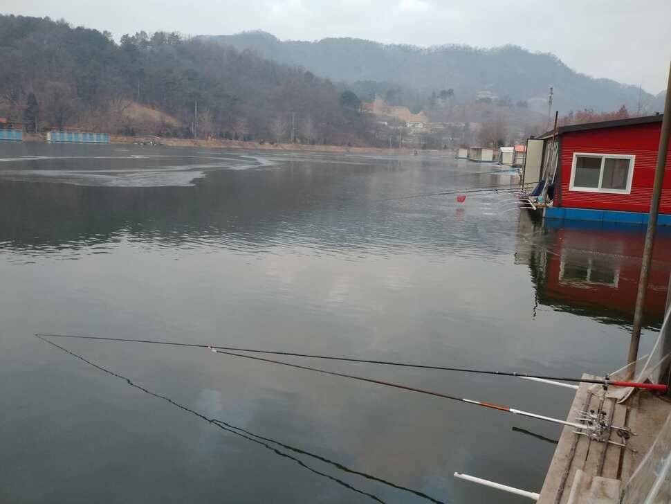 겨울붕어낚시 양평 수곡낚시터 주중 조황 기복이 많았습니다 내일 붕어방류 합니다 (유료터정보 - 유료터점주조황)