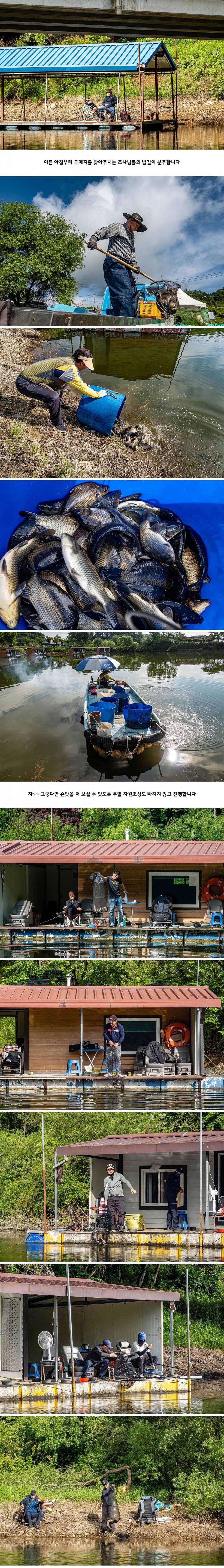 안성 두메낚시터 5월 197일 조황정보 (유료터정보 - 유료터점주조황)