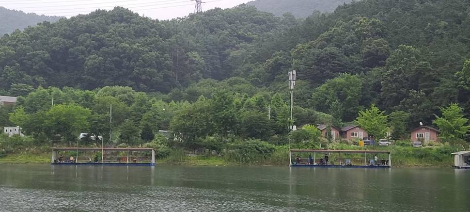 양평 피서낚시터 힐링 수곡낚시터 금토요일 주말 조황 안내 (유료터정보 - 유료터점주조황)