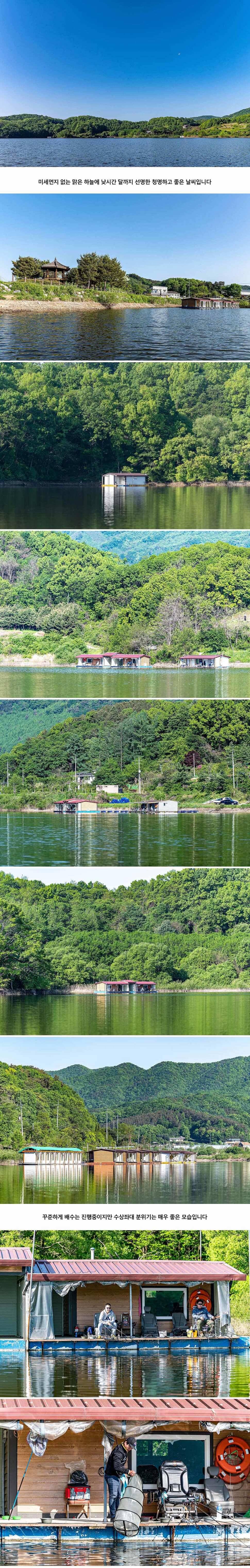 안성 두메낚시터 5월 13일 조황정보 (유료터정보 - 유료터점주조황)