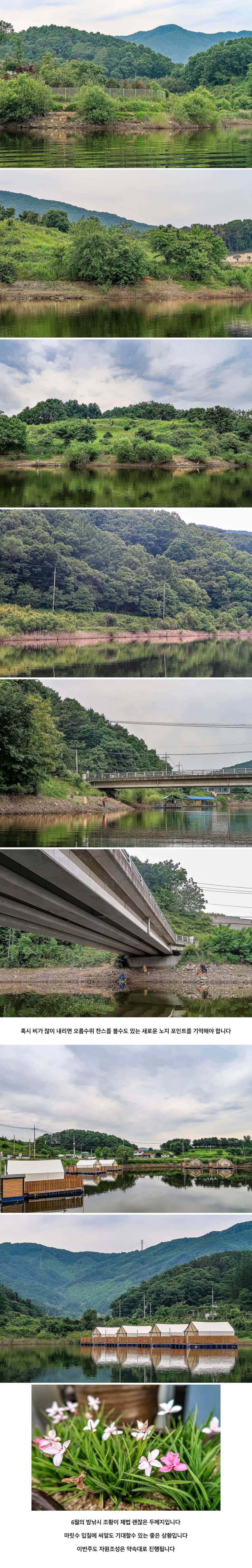 안성 두메낚시터 6월 2일 조황정보 (유료터정보 - 유료터점주조황)