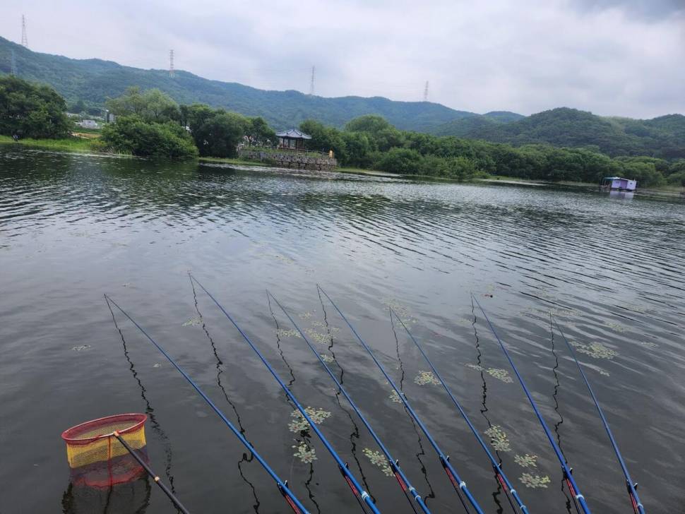 529 아산 안골지 조황정보 입니다 (유료터정보 - 유료터점주조황)