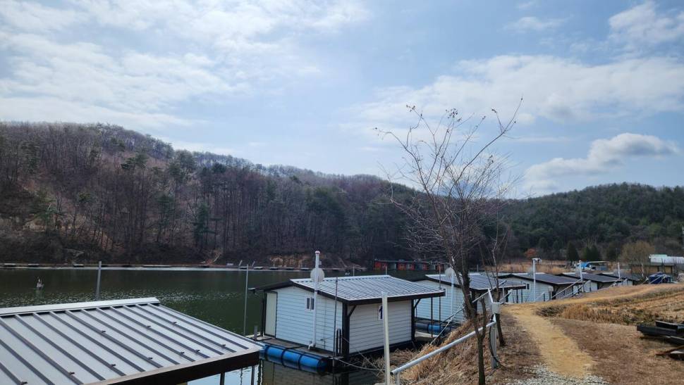 포천용담대물낚시터 개장소식 및 괴물붕어 투입 (유료터정보 - 유료터점주조황)