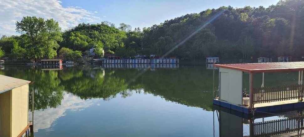 양평낚시터 힐링 수곡낚시터 56 주중조황 및 붕어 방류 안내 (유료터정보 - 유료터점주조황)