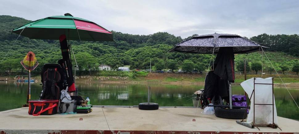 공주 고성낚시터 입니다 (유료터정보 - 유료터점주조황)