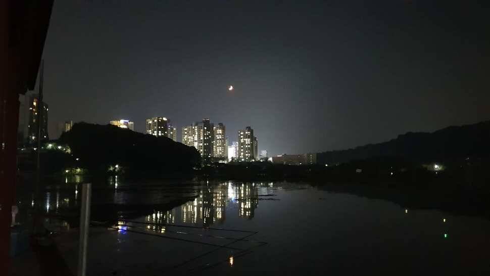 아산 명품 월랑낚시터 8월 첫번째 조황이야기입니다 (유료터정보 - 유료터점주조황)