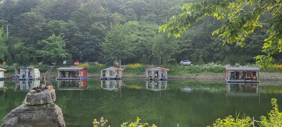 수곡낚시터 주초출발 조황 좋습니다 금일 방류합니다 (유료터정보 - 유료터점주조황)