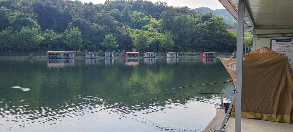 양평낚시터 수곡낚시터 주중조황이 꾸준히 좋네요 오늘도 방류 완료했습니다 (유료터정보 - 유료터점주조황)