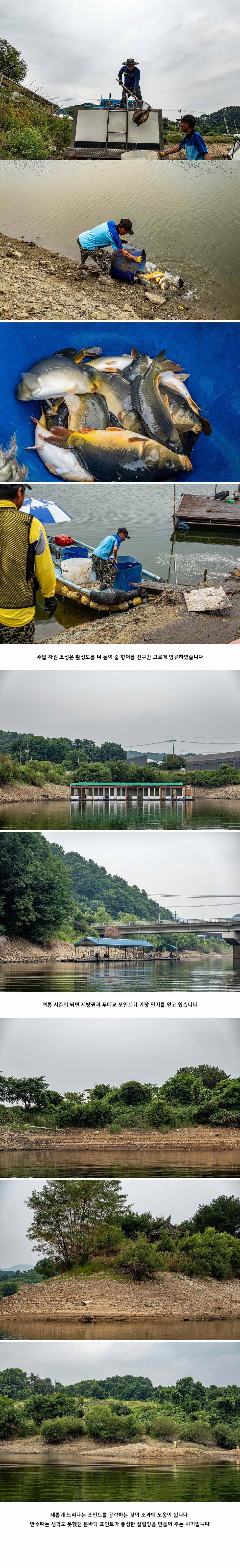안성 두메낚시터 6월 22일 조황정보 (유료터정보 - 유료터점주조황)