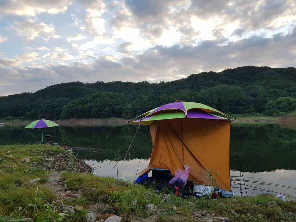 아름다운장계지에서 (유료터정보 - 유료터점주조황)