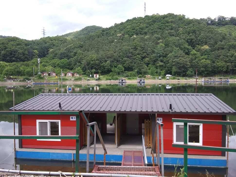 수곡낚시터 금일 붕어방류 및 조황 소식 안내 7월6일 (유료터정보 - 유료터점주조황)