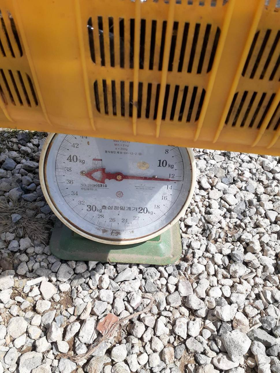 경주 동산낚시터붕어 전용잡이터지난주 조황 (유료터정보 - 유료터점주조황)