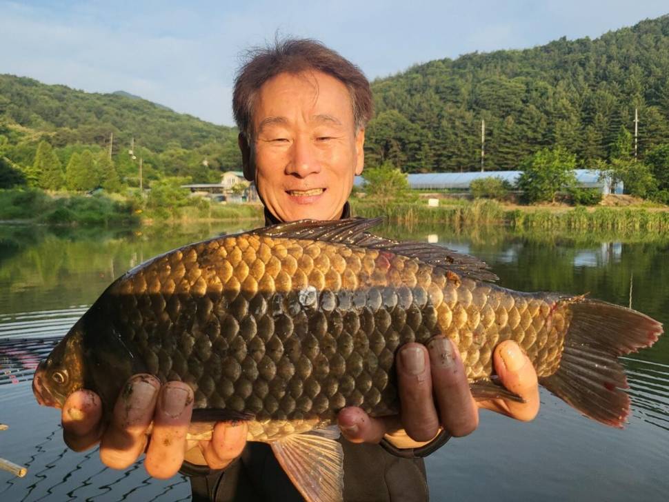 4짜 200마리 돌파 끝없는 질주 (유료터정보 - 유료터점주조황)