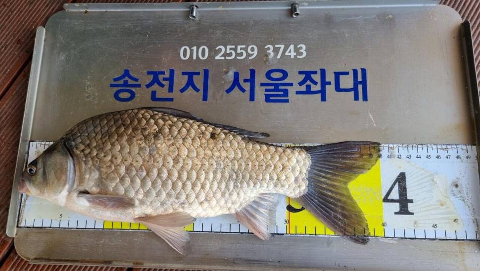 송전지서울좌대5월15일조황 (유료터정보 - 유료터점주조황)