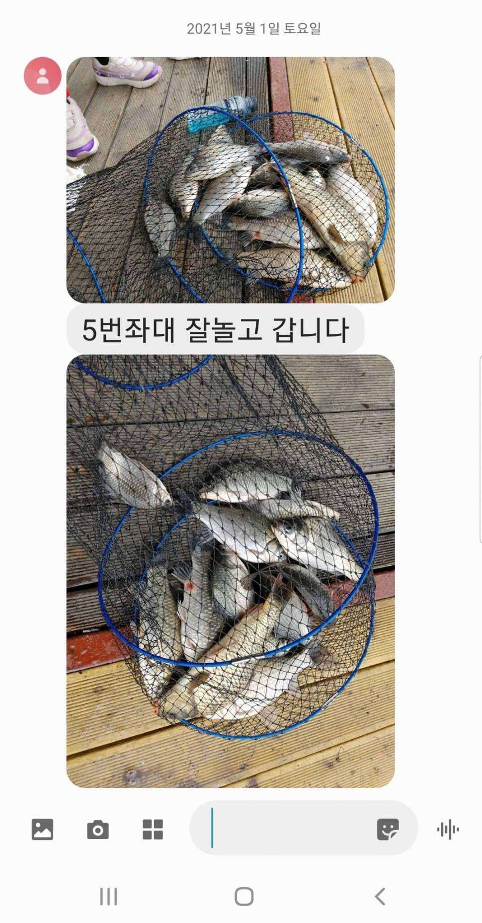 2021년 5월 둘째주 조황정보 용인 용담낚시터사암지 (유료터정보 - 유료터점주조황)
