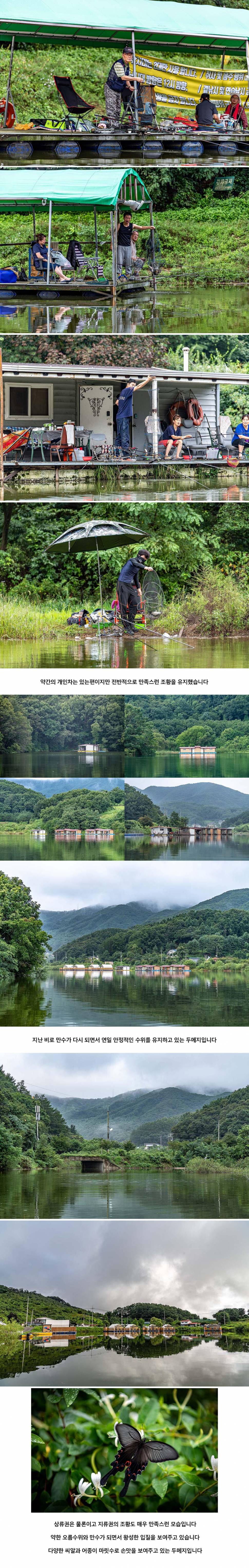 안성 두메낚시터 8월 30일 조황정보 (유료터정보 - 유료터점주조황)