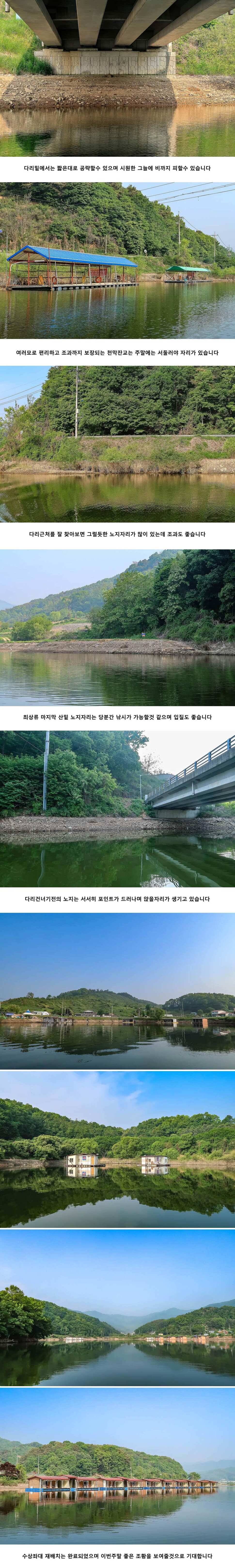안성 두메낚시터 5월 16일 조황정보 (유료터정보 - 유료터점주조황)