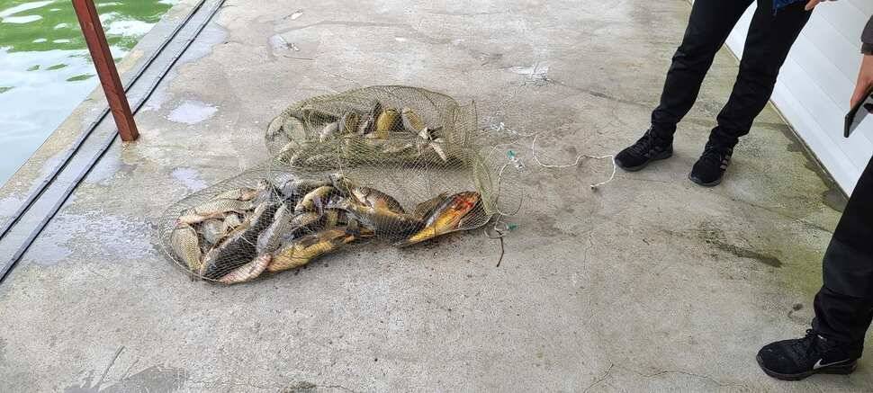 공주 고성낚시터 입니다 (유료터정보 - 유료터점주조황)