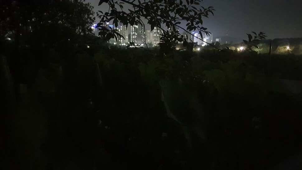 아산 명품 월랑낚시터 6월 세번째 조황이야기입니다 (유료터정보 - 유료터점주조황)