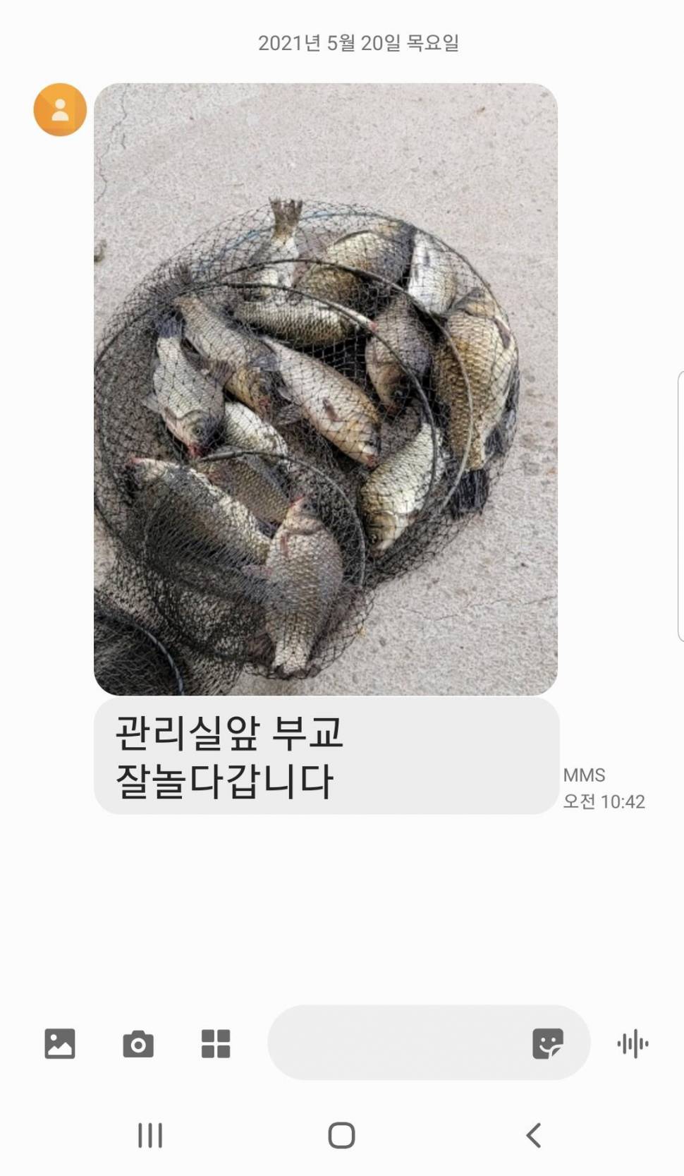2021년 05월 넷째주 조황정보 용인 용담낚시터사암지 (유료터정보 - 유료터점주조황)
