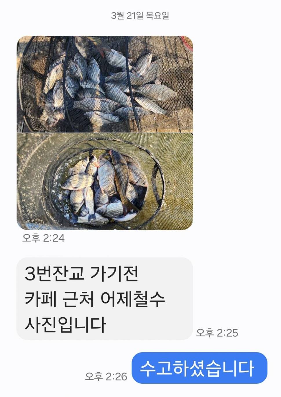 2024년 03월 넷째주 조황정보 용담낚시터사암지 이번주 4짜 3마리 (유료터정보 - 유료터점주조황)