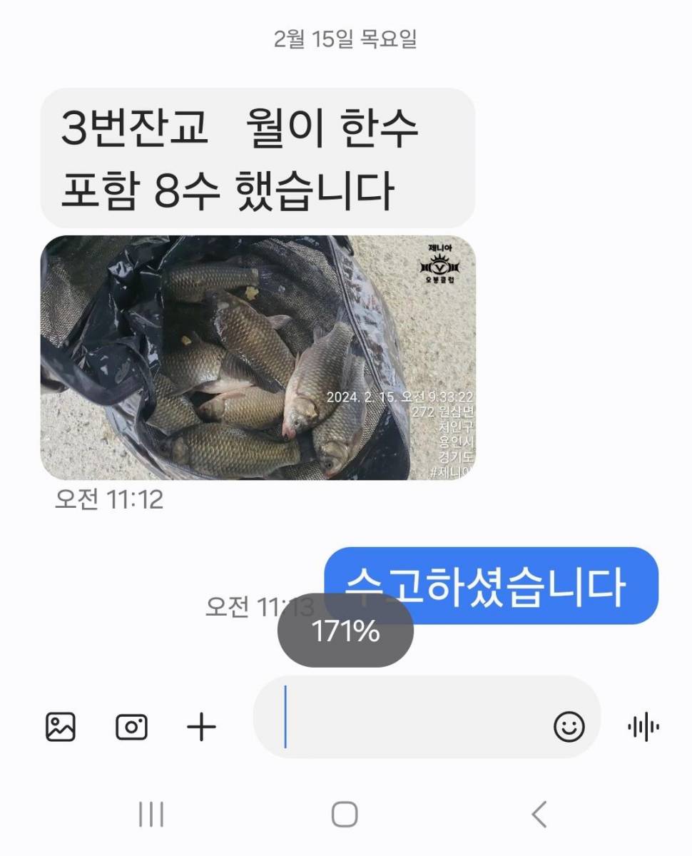 2024년 02월 셋째주 조황정보 용담낚시터사암지 (유료터정보 - 유료터점주조황)