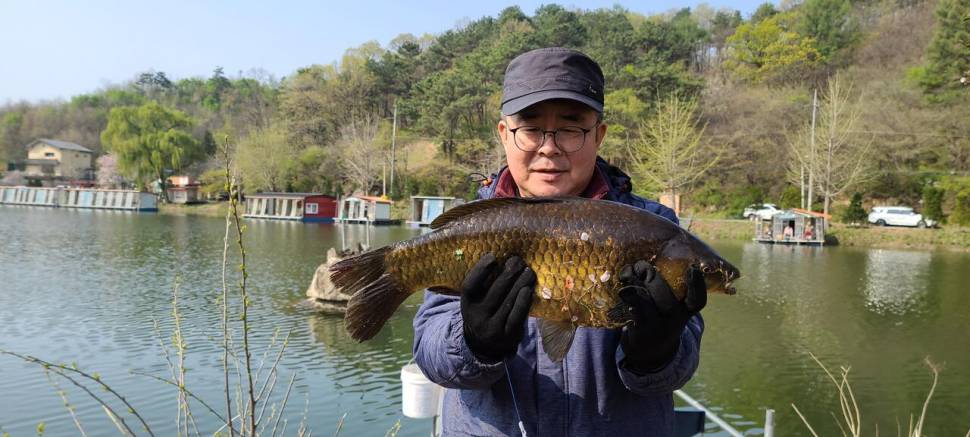 4월 둘째주말 양평 힐링 수곡낚시터 조황 및 붕어 방류 (유료터정보 - 유료터점주조황)