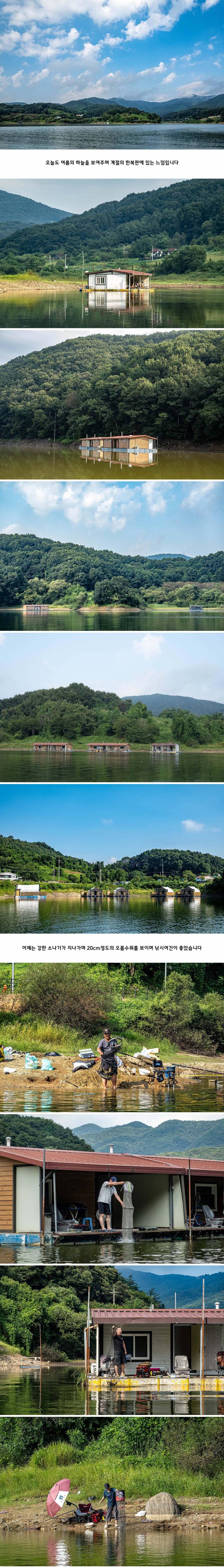 안성 두메낚시터 8월 31일 조황정보 (유료터정보 - 유료터점주조황)