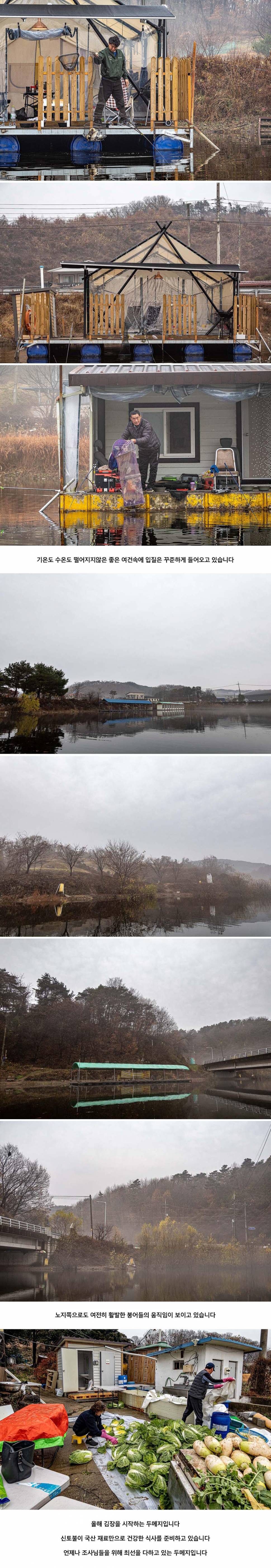 안성 두메낚시터 11월 18일 조황정보 (유료터정보 - 유료터점주조황)