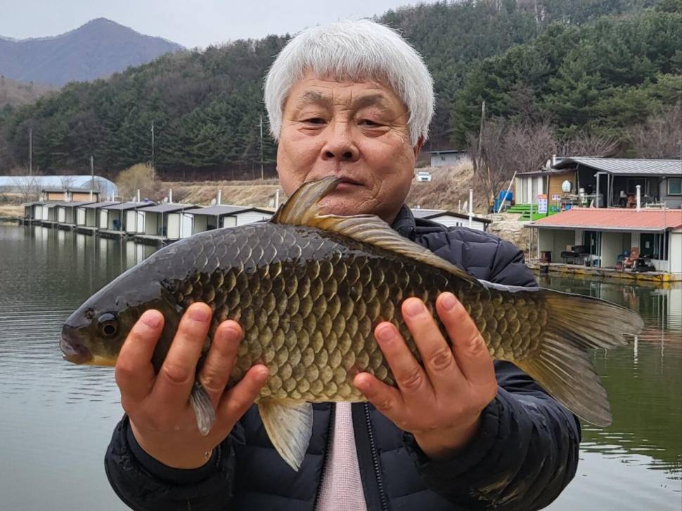 가격인하 4짜 붕어 출몰 및 방류소식 (유료터정보 - 유료터점주조황)