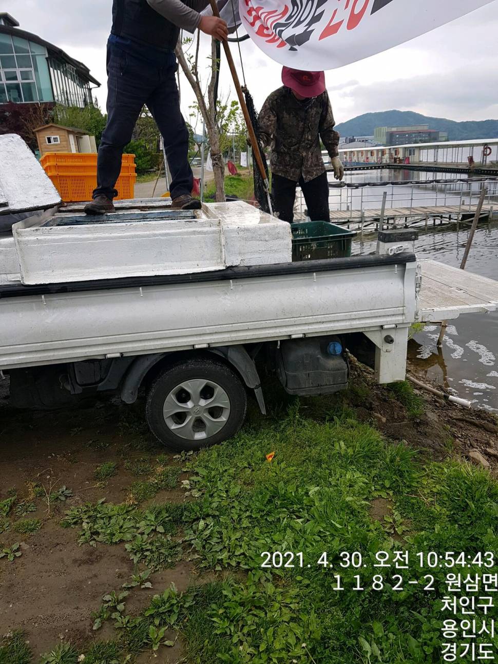 2021년 4월 마지막주 조황정보 용인 용담낚시터사암지 (유료터정보 - 유료터점주조황)
