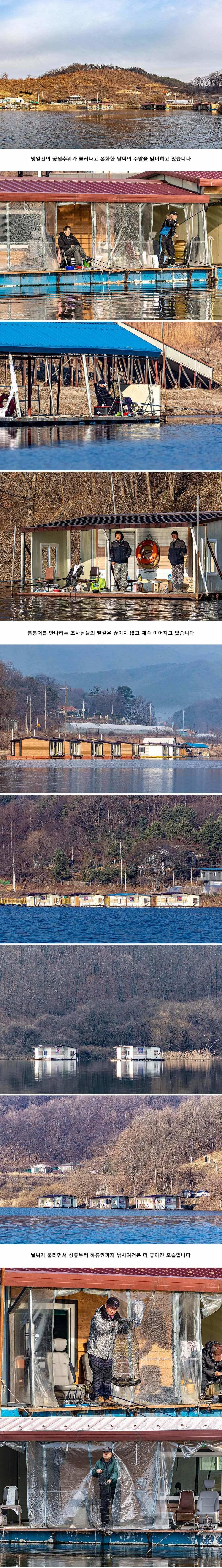안성 두메낚시터 3월 7일 조황정보 (유료터정보 - 유료터점주조황)