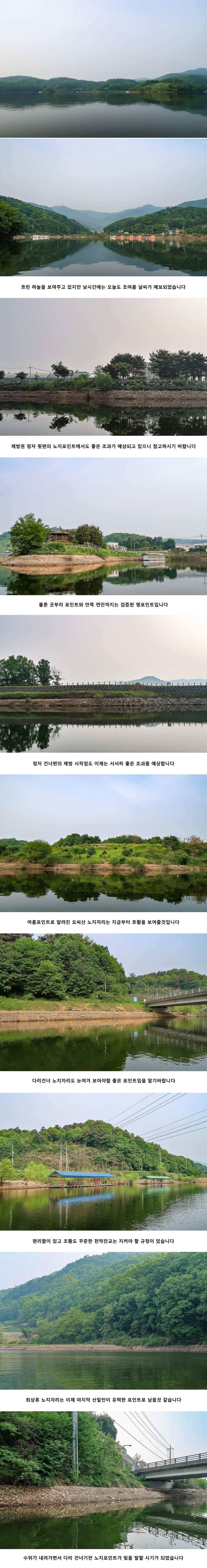 안성 두메낚시터 5월 15일 조황정보 (유료터정보 - 유료터점주조황)
