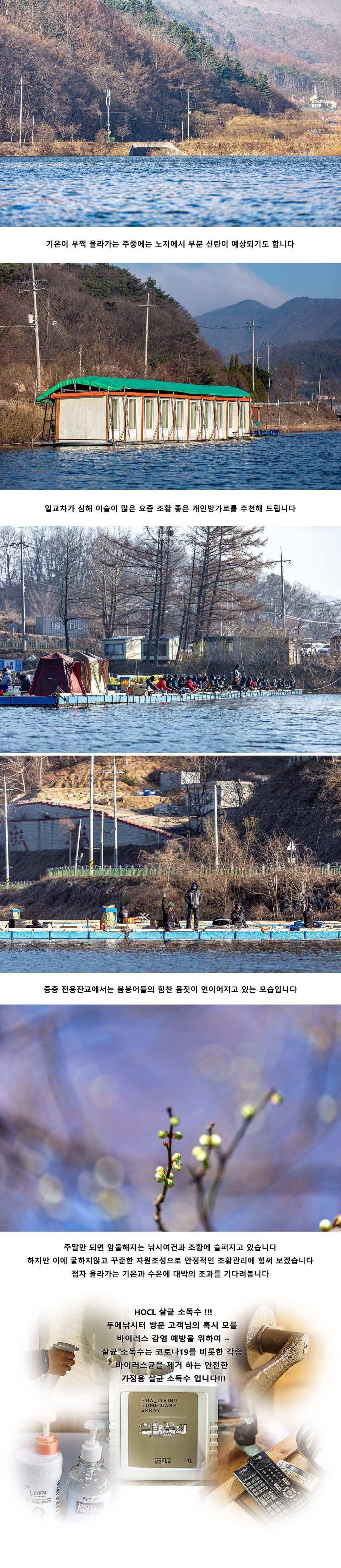 안성 두메낚시터 3월 22일 조황정보 (유료터정보 - 유료터점주조황)