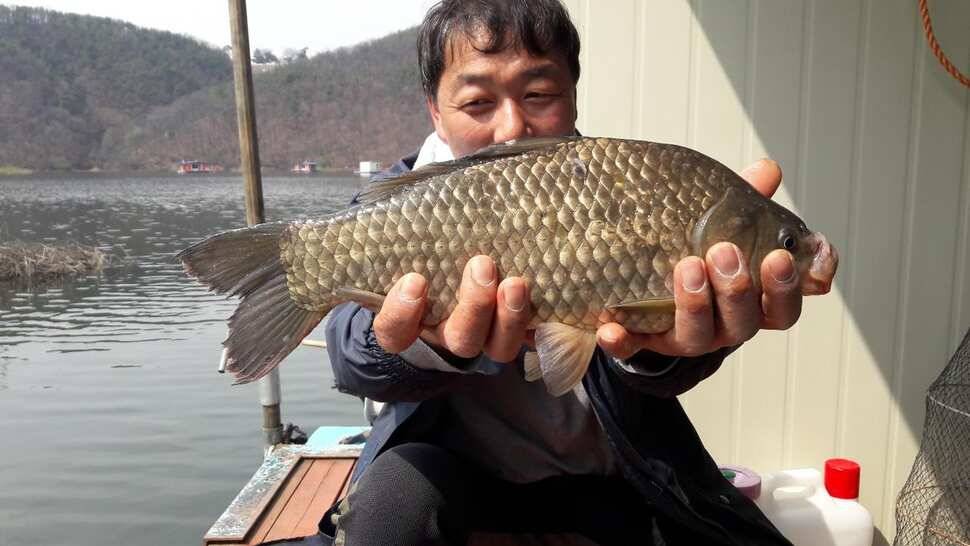 송전지 창신좌대 조황정보 (유료터정보 - 유료터점주조황)