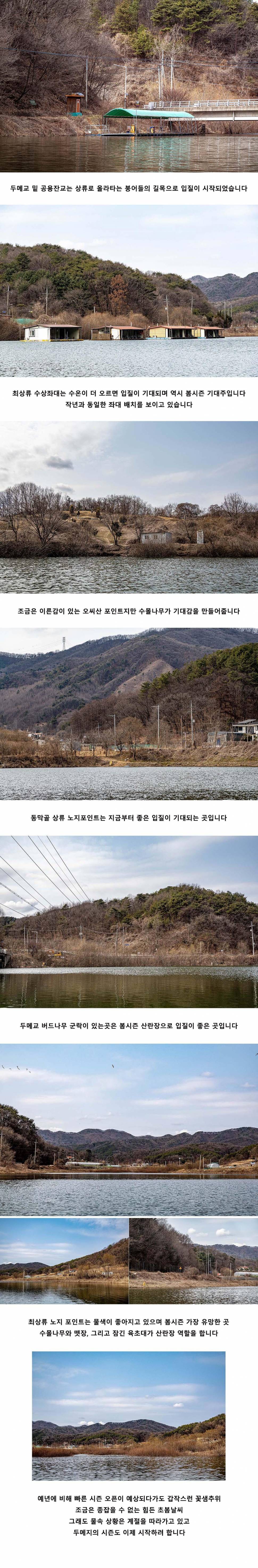 안성 두메낚시터 3월 7일 조황정보 (유료터정보 - 유료터점주조황)