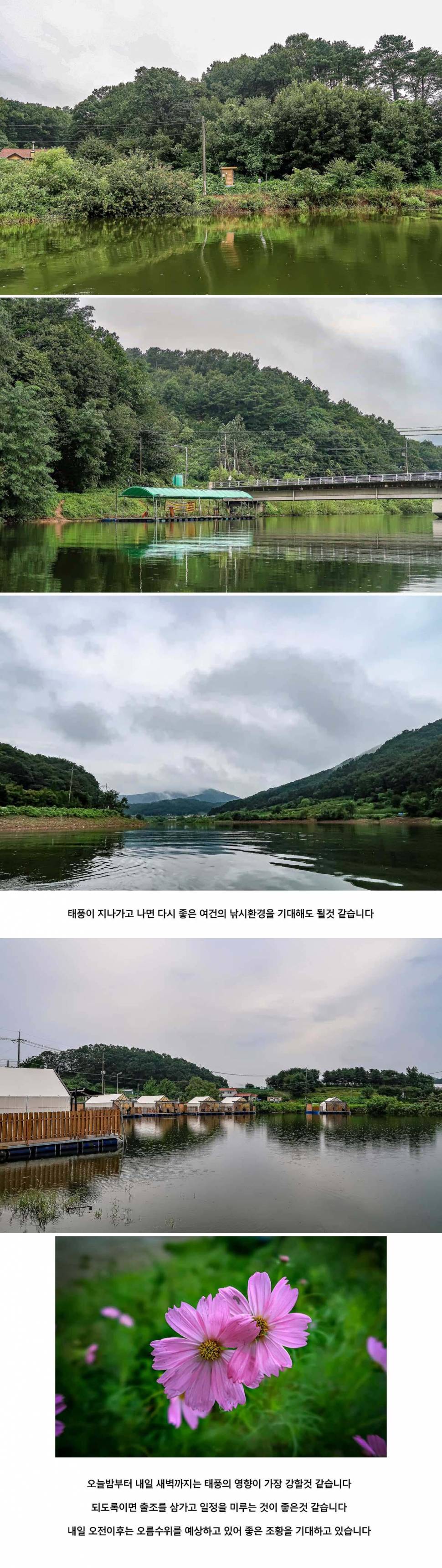 안성 두메낚시터 9월 2일 조황정보 (유료터정보 - 유료터점주조황)