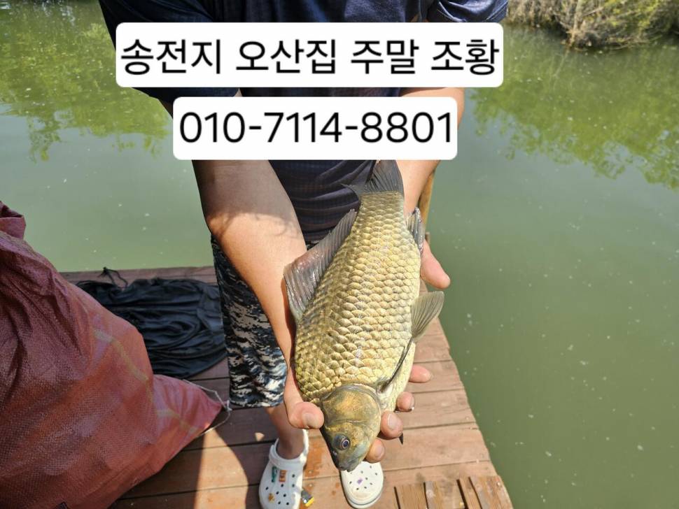 주말 조과가 괜찮아요 (유료터정보 - 유료터점주조황)
